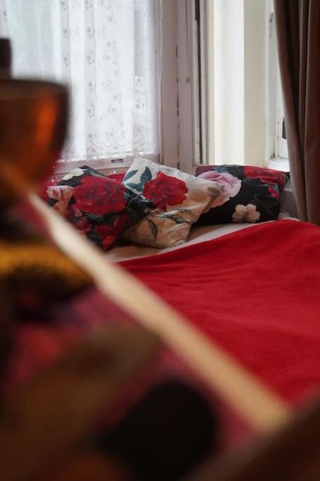 Cosy 1 Bedroom With Garden 2 Min From Seafront Brighton Екстериор снимка