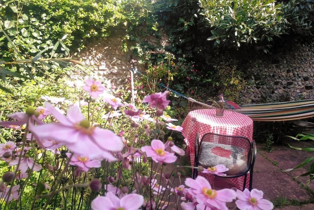 Cosy 1 Bedroom With Garden 2 Min From Seafront Brighton Екстериор снимка